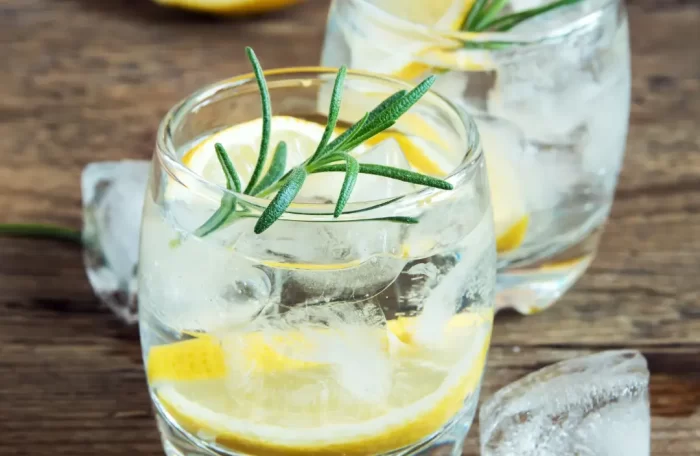 Gin Tonic / Lemon